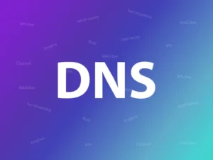 DNS-logo